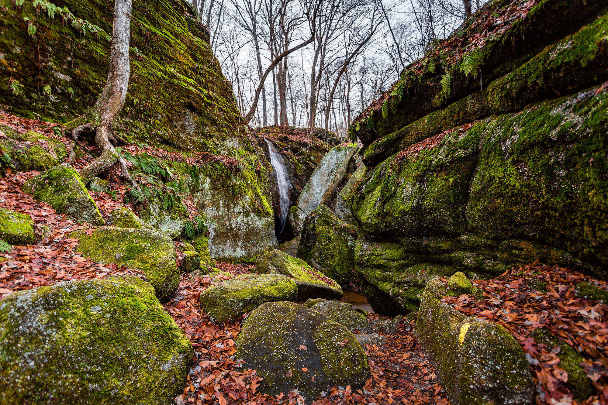 nelson kennedy ledges state park reviews